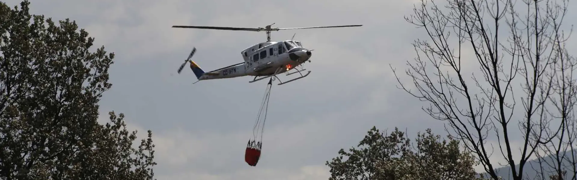 Iberaval concede financiación bonificada a pymes y autónomos afectados por el fuego de la Sierra de la Culebra ultimas noticias