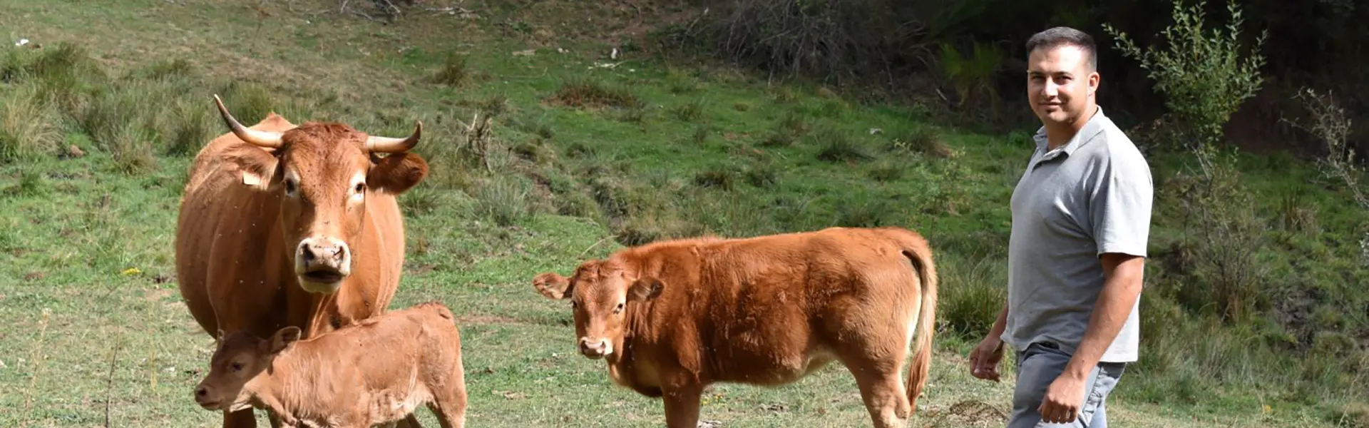 La apuesta por las nuevas tecnologías al servicio del ganado en la Montaña Leonesa ultimas noticias cesgar