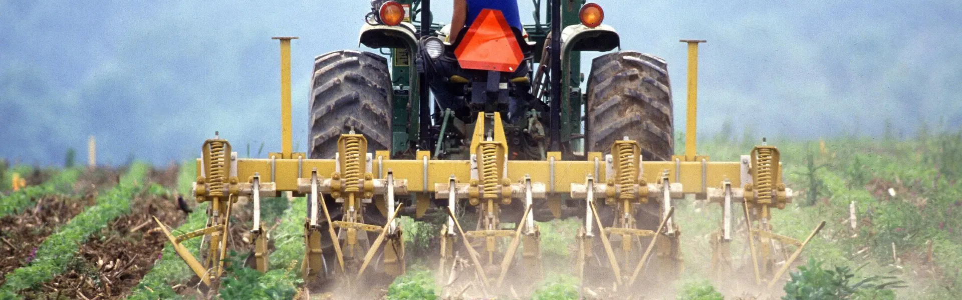 Las cooperativas agroalimentarias extremeñas tendrán una nueva línea de avales de Extraval para mejorar el crédito últimas noticias cesgar