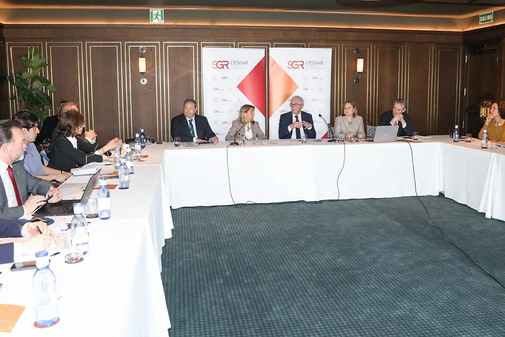 XIV INFORME FINANCIACIÓN DE LA PYME CESGAR Plano General