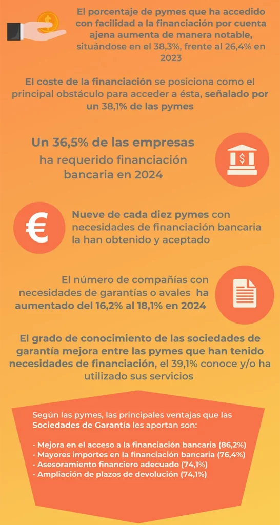 XIV Informe de financión de la Pyme en España infografia 2