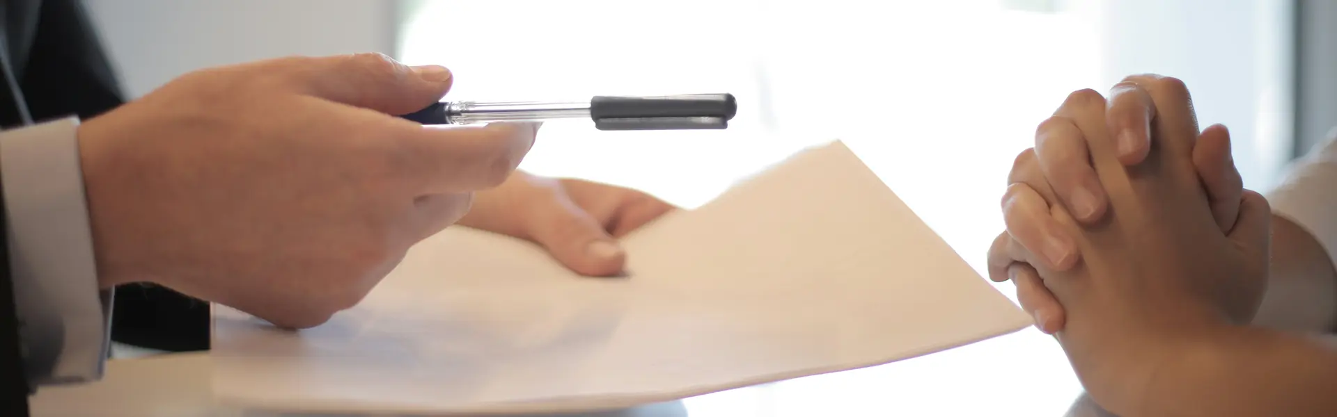 Visionland y A Casa das Linguas dos empresas respaldadas por Afigal para crecer ultimas noticias cesgar