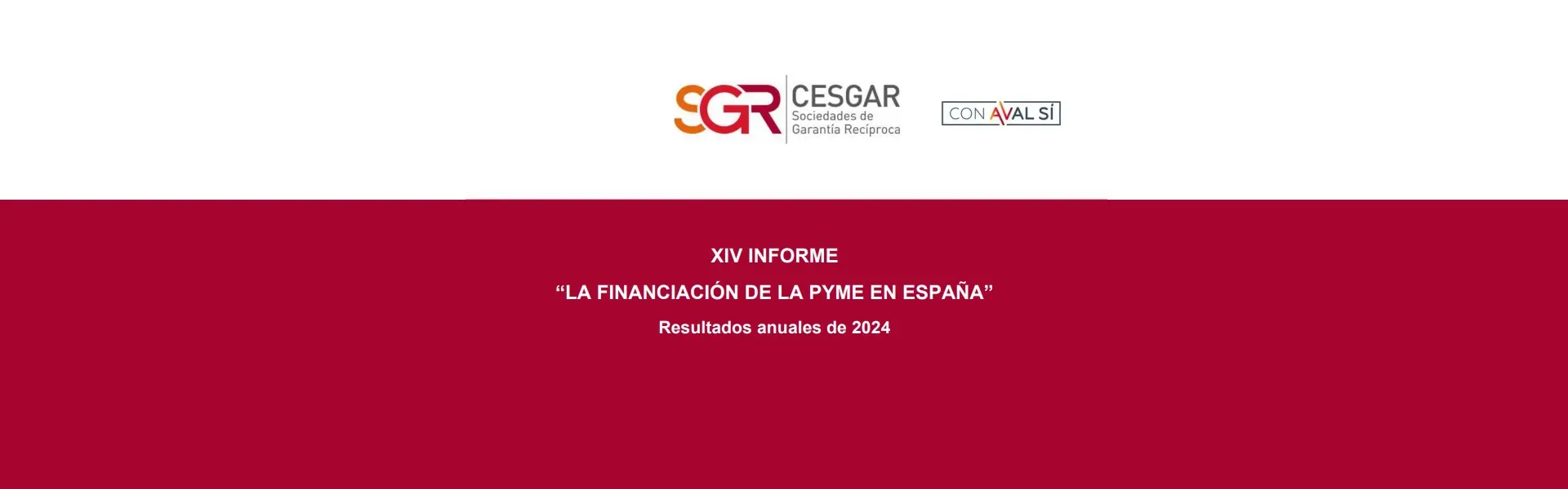 El mapa actual de la financiación de la pyme en España últimas noticias cesgar