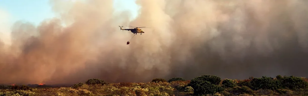 Avalmadrid activa una línea especial de avales gratuitos para empresas y autónomos afectados por los incendios ultimas noticias cesgar