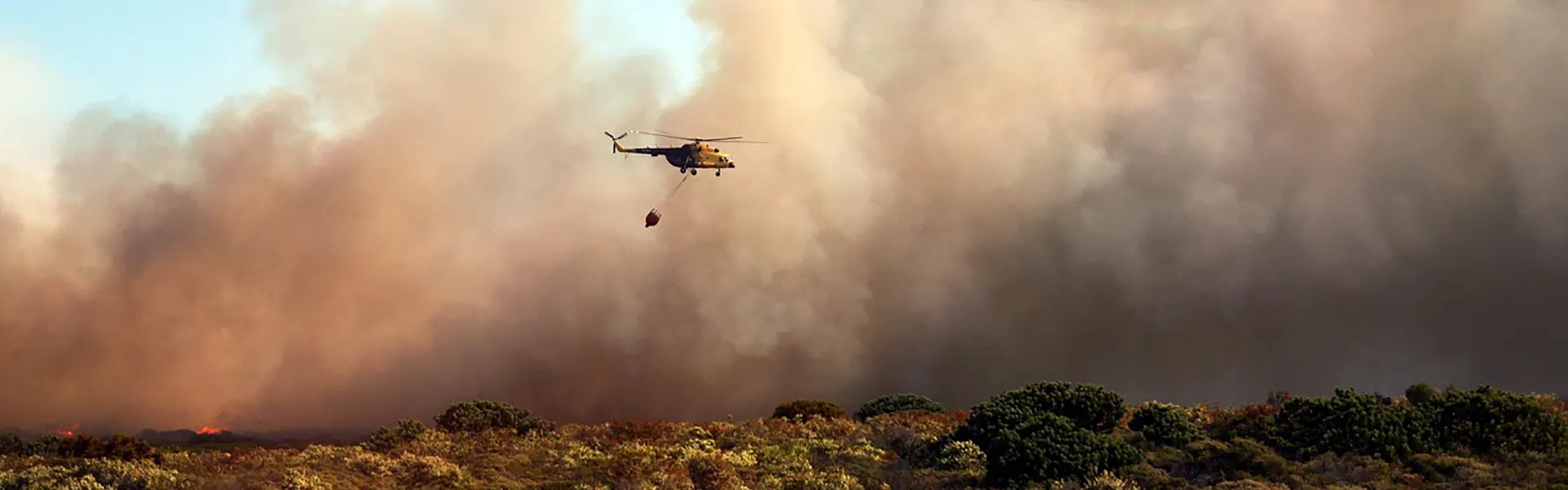Avalmadrid activa una línea especial de avales gratuitos para empresas y autónomos afectados por los incendios ultimas noticias cesgar