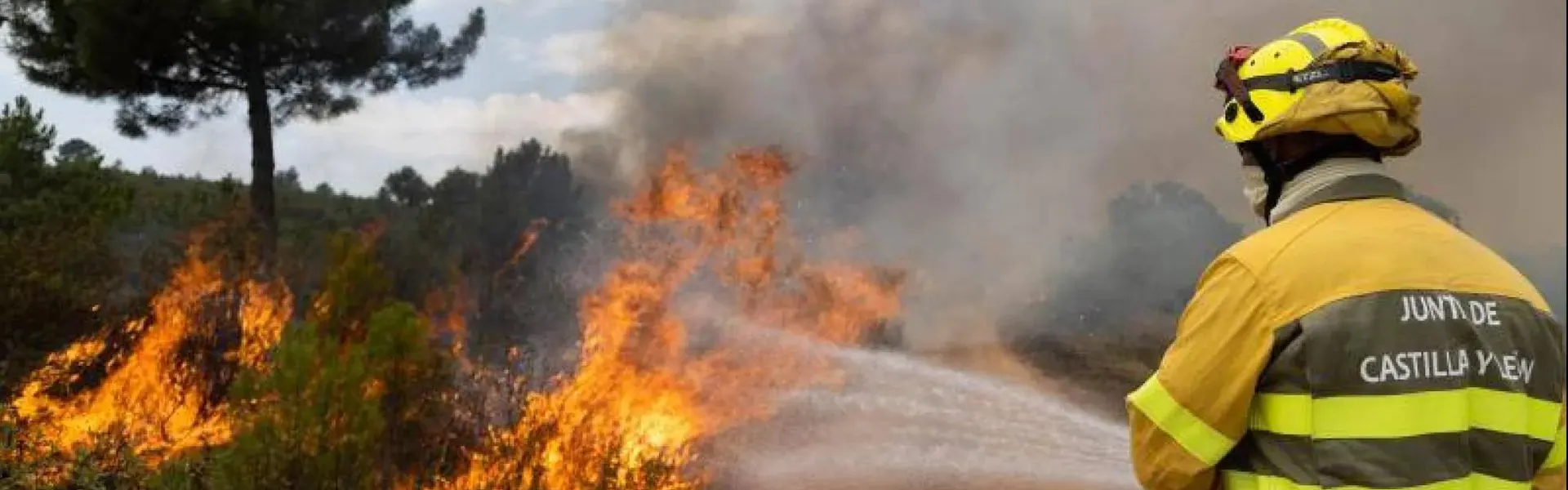 Iberaval participará en las líneas de financiación para ayudar a autónomos, pymes y midcaps afectados por los incendios rn Castilla León ultimas noticias Cesgar
