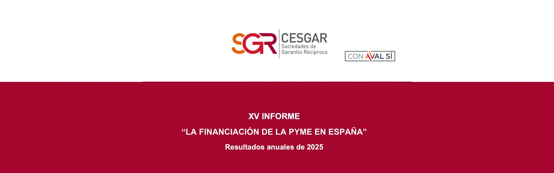 XV Informe sobre la financiación de la pyme en España Resultados 2025 ultimas noticias cesgar